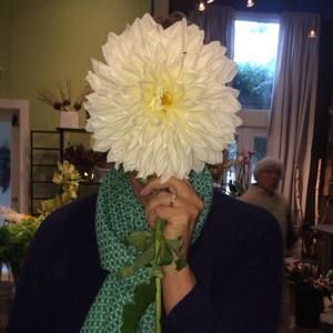 Meet your Posher, Dana